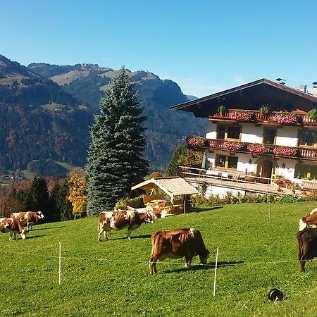Hof Hamoos Daire Kitzbühel Dış mekan fotoğraf