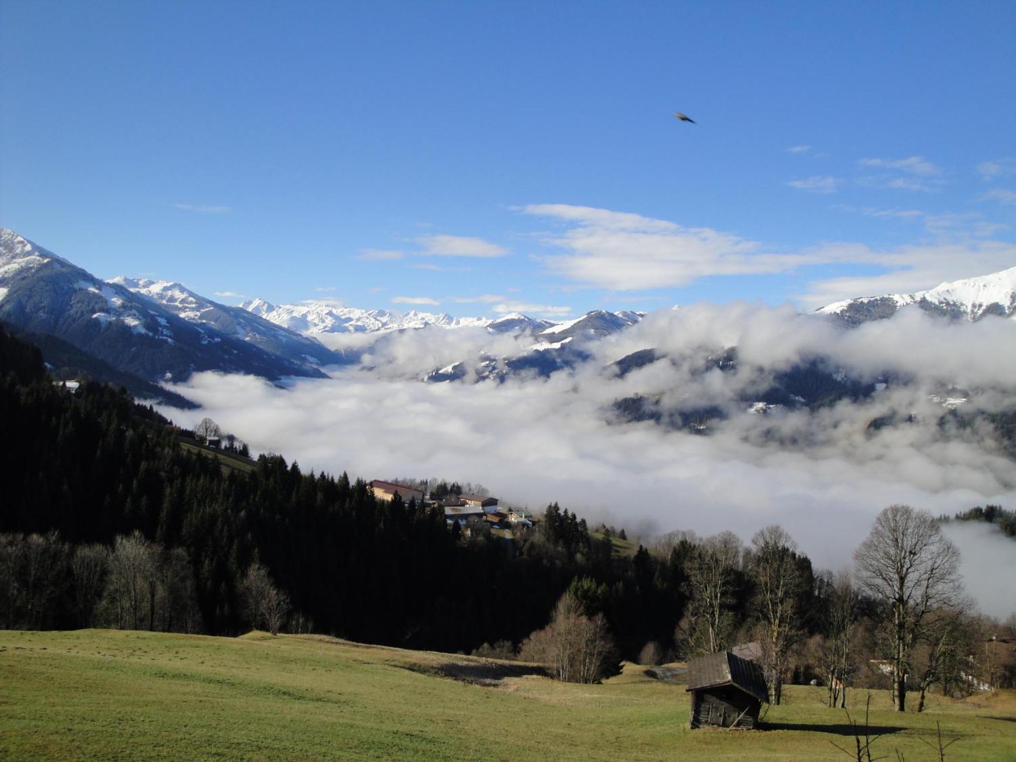 Hof Hamoos Daire Kitzbühel Dış mekan fotoğraf