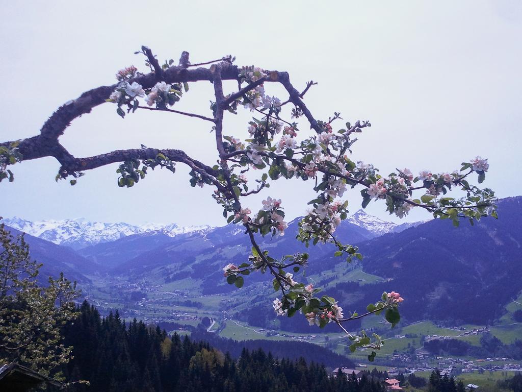Hof Hamoos Daire Kitzbühel Dış mekan fotoğraf