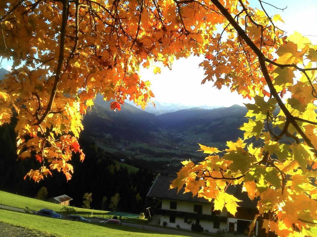 Hof Hamoos Daire Kitzbühel Dış mekan fotoğraf