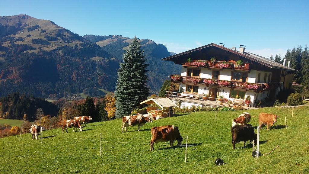 Hof Hamoos Daire Kitzbühel Dış mekan fotoğraf